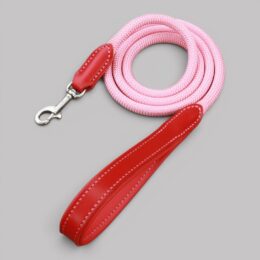 Les Laisses en Cuir & Corde