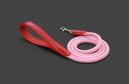 Laisse 1m à 1m50 en cuir & corde
