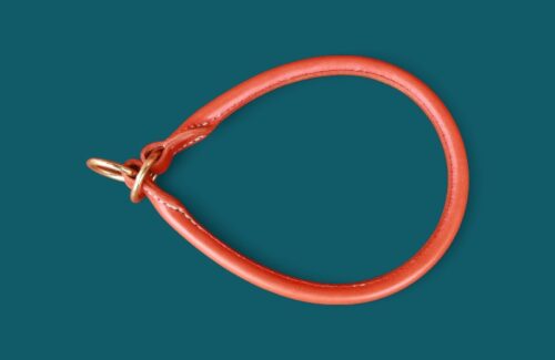 Collier Akita Inu en cuir rond - Modèle COULISSANT - Avec couleurs au choix