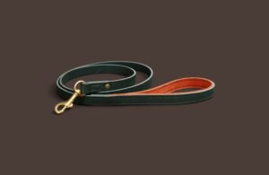 Laisse en cuir fine & légère pour PLI - 1m à 1m20 - Modèle COLIBRI