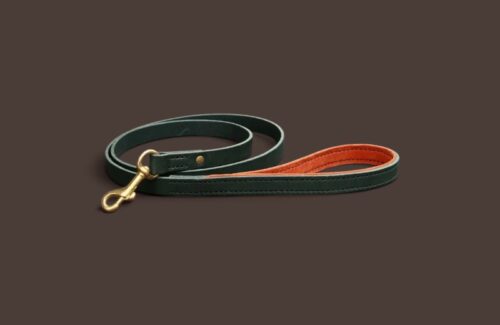 Laisse en cuir fine & légère pour PLI - 1m à 1m20 - Modèle COLIBRI