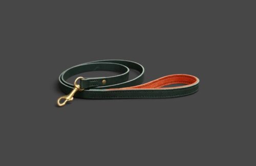 Laisse en cuir 1m à 1m20 - Modèle COLIBRI - Avec couleurs au choix