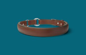 Collier Cocker anglais en cuir renforcé - Modèle Be SAFE & RELAX - Avec couleurs au choix