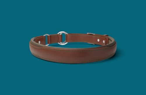 Collier Cocker anglais en cuir renforcé - Modèle Be SAFE & RELAX - Avec couleurs au choix