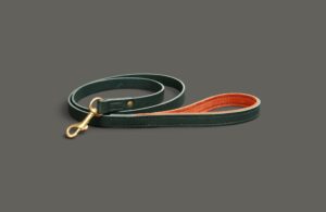 Laisse en cuir fine & légère pour Yorkshire terrier - 1m à 1m20 - Modèle COLIBRI