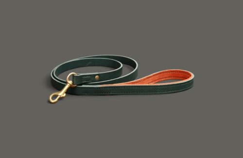 Laisse en cuir fine & légère pour Yorkshire terrier - 1m à 1m20 - Modèle COLIBRI