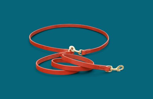 Laisse bandoulière en cuir MAINS LIBRES - Avec couleur & longueur au choix