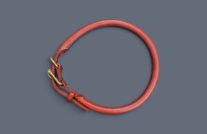 Collier Léonberg en cuir rond renforcé - Modèle Le FRANCAIS