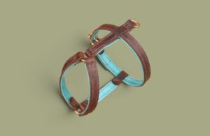 Harnais PLI en cuir doux & confortable - Modèle EXPLOREUR - Avec couleurs au choix